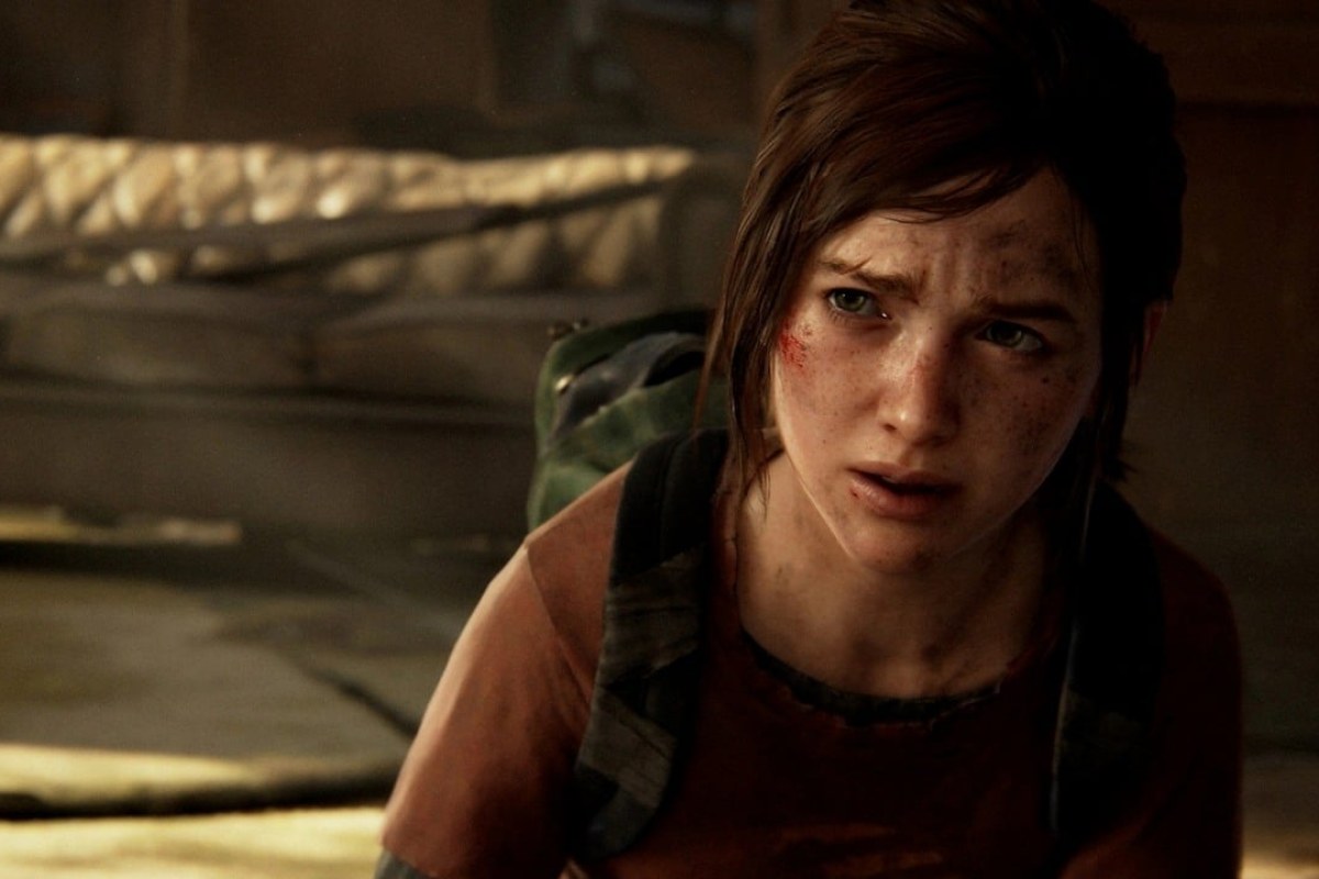The Last of Us Factions cancellation