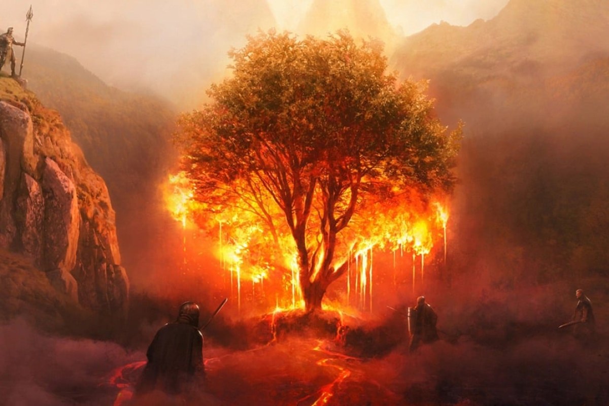 Steven Shariff controversy