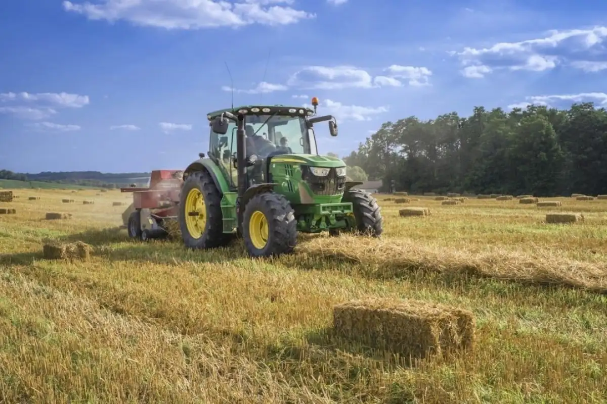 Sztuczna inteligencja w rolnictwie: Czy korporacje dyktują przyszłość upraw?