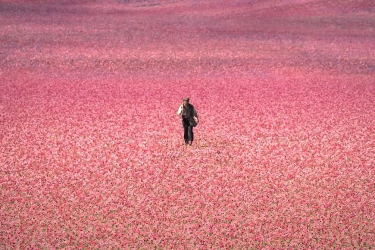 Nowa hiszpańska saga na Prime Video: adaptacja bestsellerowej powieści Isabel Allende